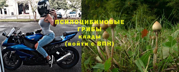 тгк Аркадак