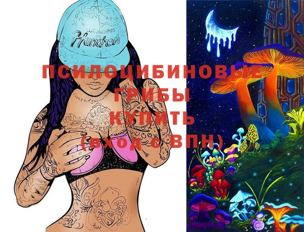 тгк Аркадак